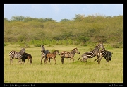 Lake Manyara